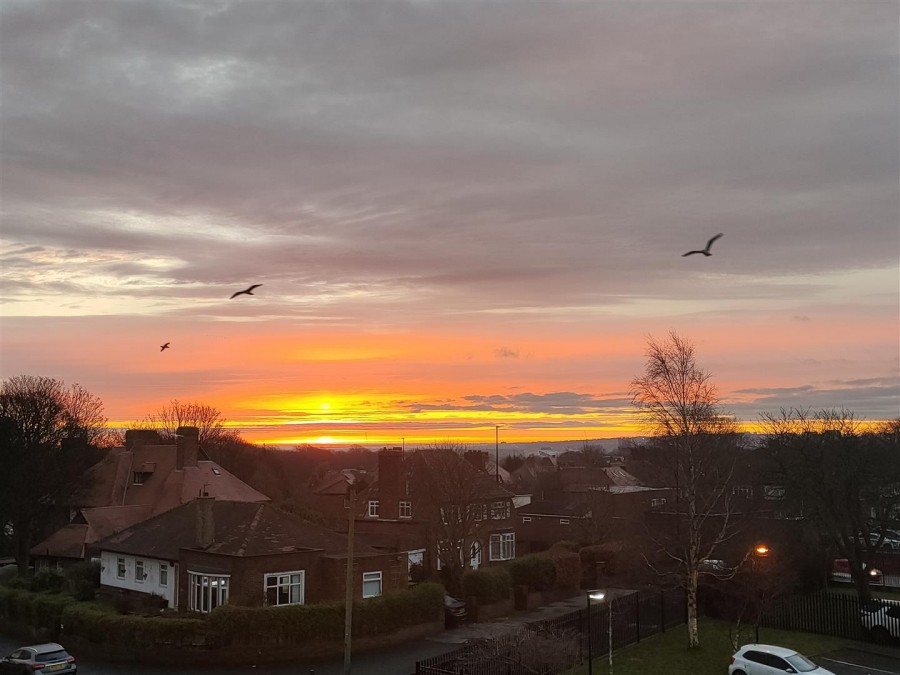 Images for Moorside Court, Newcastle Upon Tyne EAID:goodfellowsapi BID:1
