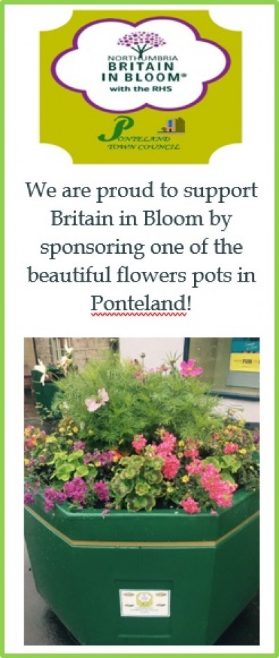 Britain in Bloom